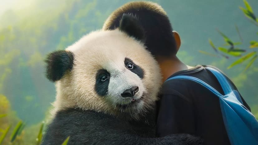 Moon The Panda Backdrop
